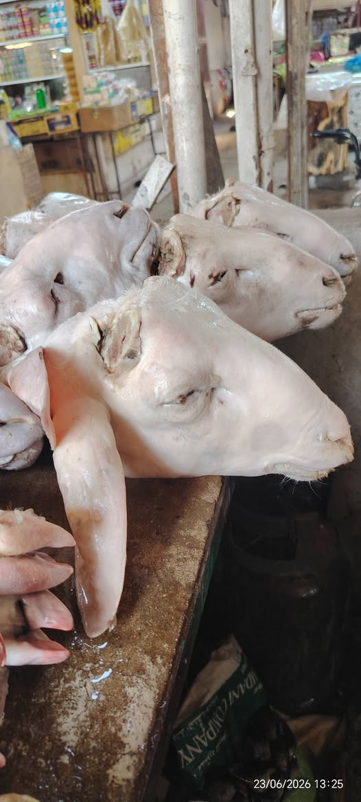 يوجد لدينا باجة 🐑🐏 غنم 👇
فراسم 🦬 عجل 👇
🌲 العنوان بغداد حي العامل سوق الشعبية🌲


**إذا كنت صاحب هذا الإعلان وتريد حذفه لأي سبب، رجاءا أرسل رسالة إلى الدعم الفني**