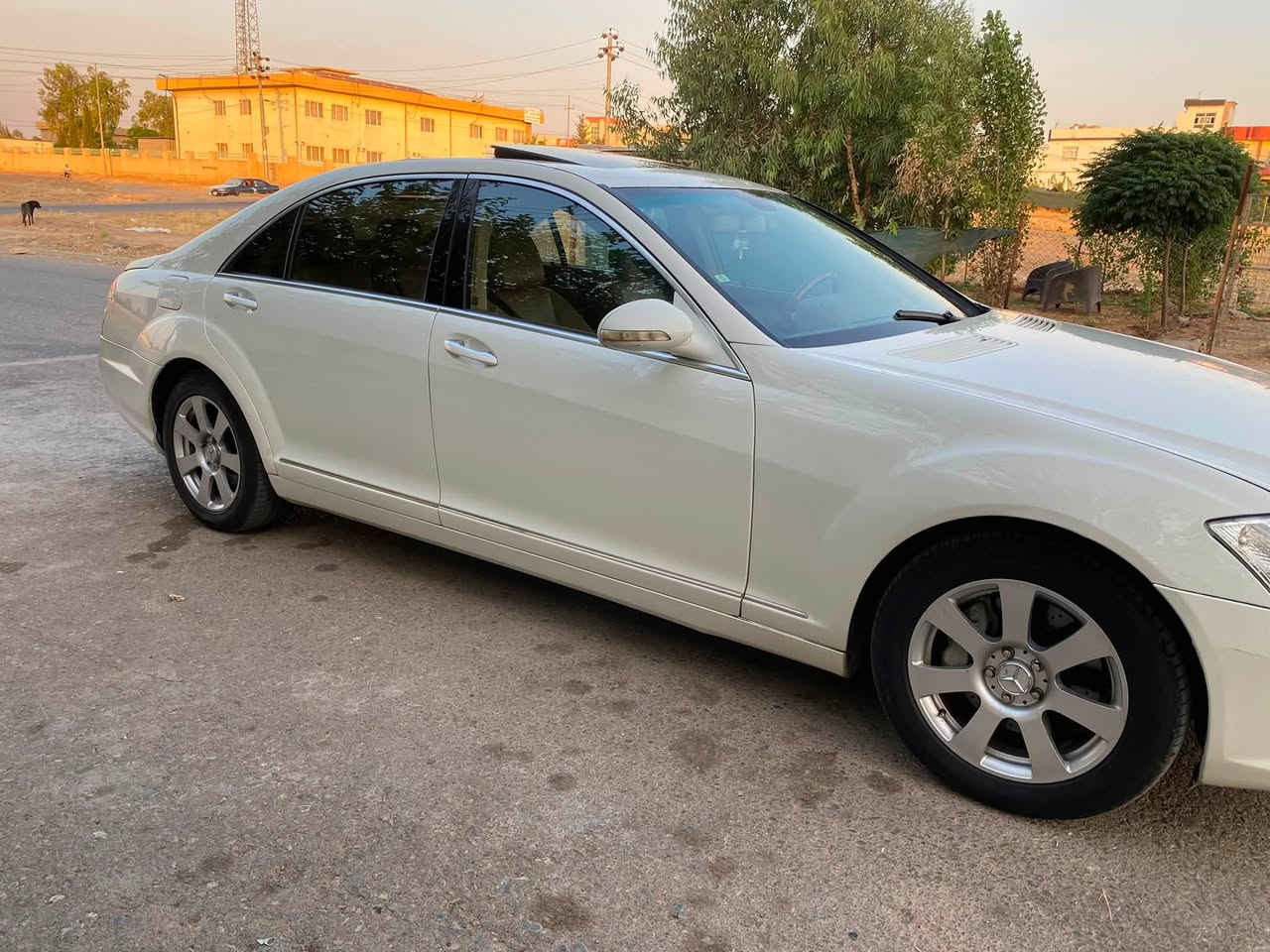 مارسیدس بێنز ئێس کلاس ساخ مۆدیل 2008هەشتبستۆنی بێتۆربۆی فول مەرغوبs550  گێڕ مەکینە کارەبای بەشەرت کۆمپیتەر فیتەر ١٤٥هەزار ڕۆیشتووە سفرە دەرەوەو ناوی سەقفوحیزام بەشەرت مواسەفات ئەوەنەی کەلێێدەزانم
کوشن ٢٨جولە تەحەکوماتی یەکتر دەکەن 
کوشن ساردوگەرم 
جام بیلاد پۆلۆرایز
چواردەرگاشەفتە
سنوق شەفتە 
سێمۆد لێخورین کلاسیک سپۆرت عادی
تەبرید ساردوگەرم 
ناوزەردە
سلایتە
لایت ناوچەیکوێر سەماعە هارمانک
پەردە
زۆر مواسەفاتیتر 
ڕۆنمەکینەی تازەگۆڕاوە چواردەبڵی لۆکە عیشەکا بەرزونزم 
بۆنرخ نامەبنیرن یانتەلەفونکەن  گۆڕینەوەیش بەشتێبەدلمانبێ جوانیو پاکی وەک ئەمەبێ***********
