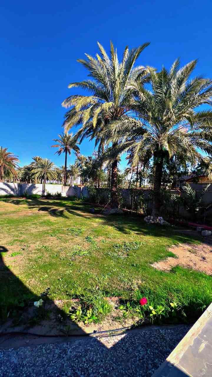 السلام عليكم 

مزرعه تصلح دار سكن 
المساحه 1000 متر 
الواجهه 25 النزال 42
طابو ملك صرف ( حر بدون مناصفه ) 
بأسمي ( تحويل مباشر ) 
بناء ودزاين حديث 🏛️
 
بناء 150 متر 
غرف نوم عدد 2 
استقبال كبير
صاله مفتوحه على المطبخ 
صحيات داخليه و خارجيه 

الموقع 
المدائن سلمان باك منطقة باوي 
علمآ الها مدخلين 
الاول من التجاره والثاني من سدة باوي 

حديقه كبيره ومكان للمسبح جانب البناء 🏡

معرفة السعر والاستفسار
 اتصال *********** + واتساب ✅
