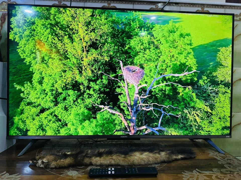 مرحبا
Xiaomi TV A Pro
* شاشة حجم 43 
* دقة 4K UHD (3840×2160)
* نوع الشاشة  QLED
* تردد 60Hz
* دعم HDR10+ و HLG لتحسين الألوان والتباين
* تقنية MEMC لتنعيم الحركة بالمباريات والألعاب
* نظام Google TV مع يوتيوب ونتفلكس مدمجة
* مساعد Google صوتيًا
* يدعم Chromecast / AirPlay / Miracast
* صوت Dolby Audio و DTS:X
* واي فاي ثنائي + بلوتوث 5.0
* 3 منافذ HDMI و USB
للتواصل واتساب او الهاتف ***********
السعر 350
