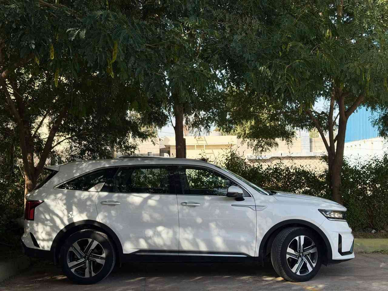 سرنتو 2021 فول فول موصفات كفاله عامه ماشيه ٨٥ الف هزا سنويه كله جديد تحويل وكاله حاضر بانروما كشن ٢ كهرباي شاشه جبير جنطه كهرباي عدسه داخل لولين باقي موصفات معروف مكان سياره كركوك سعر 285 وبي مجال ***********
