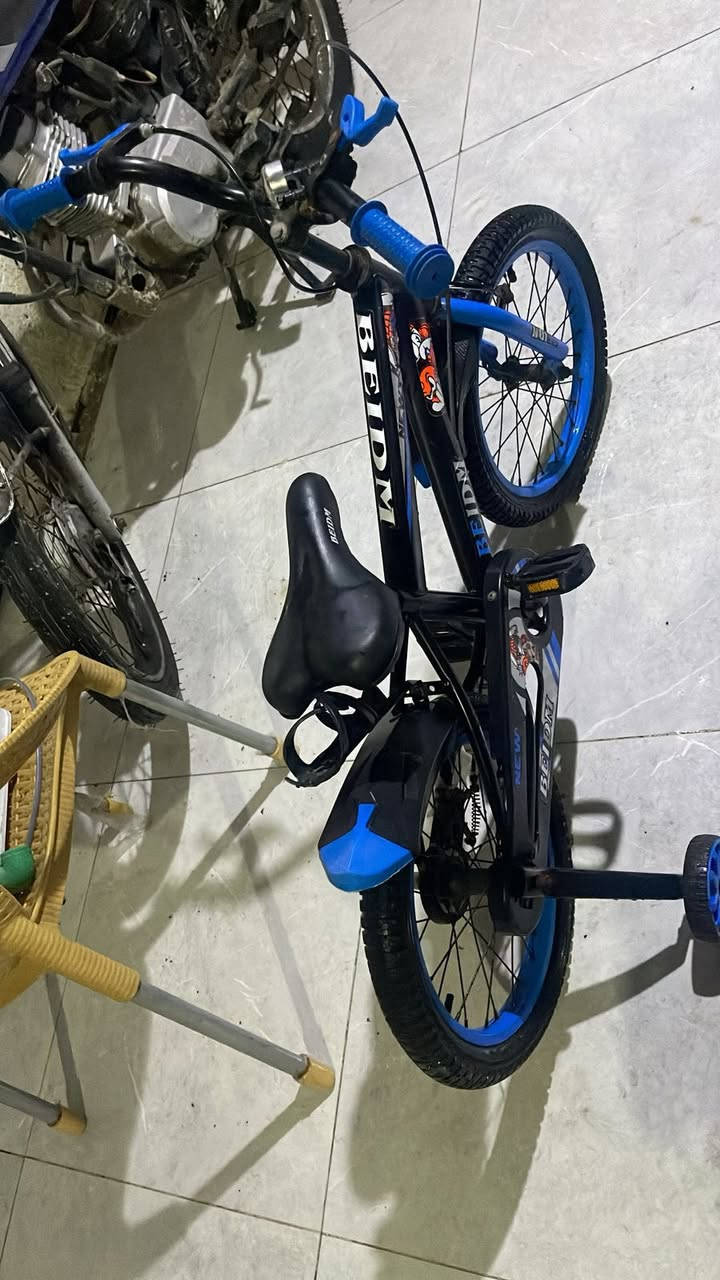 باسكلات استخدام قليل ع 50 كلش نضاف ثري دي جديده 3ب4 يارده بلفتهه طلعت ازغر أمن الداخلي


**إذا كنت صاحب هذا الإعلان وتريد حذفه لأي سبب، رجاءا أرسل رسالة إلى الدعم الفني**