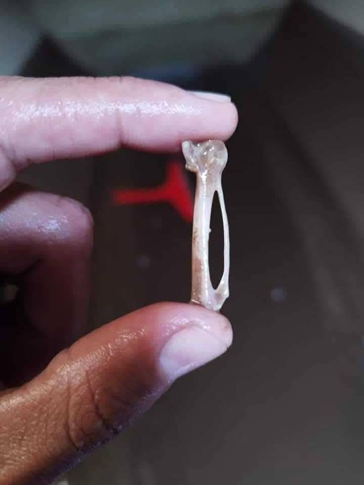 داشکاندێکی گەورە لە %50 داشکاندمان کردوە
لەبەر ئەوەی خەڵک موچەی وەرنەگرتوە پاککردنەوەی تەنکیەکان کارێکی زۆر پێویستە  
***********
***********
سلێمانی و عەرەبەت
