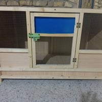 شباب هاي خانه مال افراخ  دجاج عرض 1م ارتفاع 65ويه الرجلين نزال 60 السع...