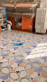 السلام عليكم
بيت للبيع بناء حديث

المساحة ٢٣٠ متر

يحتوي ثلاثة مناور

حمامين

سطحين كبار 

البيت نظيف جدا . طابقين ويحتوي على خمسة غرف  نوم كبار 4×5 واحدى الغرف 6.5×4 ومغلفه تغليف خشب حديث

موقع الدار ابي غريب مركز السوك  بظهر الشارع العام التجاري  وتحديدا خلف جمعية الوزيري مباشرتا
ببعد اقل ال٨٠٠ متر عن مجمع البدور

السعر ٢٦٠ مليون
للاستفسار
***********
