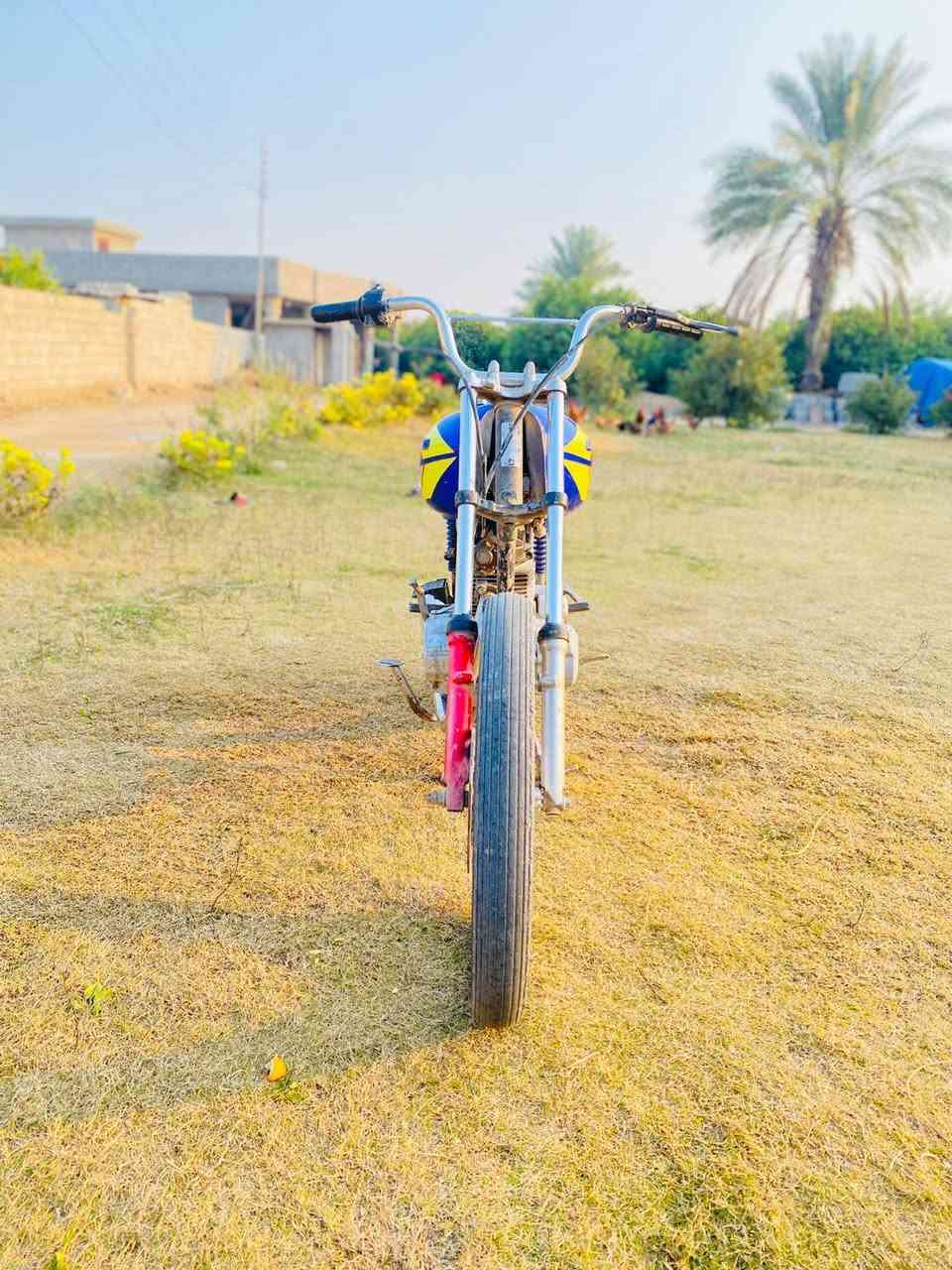 السلام عليكم للبيع ايرانيه شلعه ومعدل  لاتنقيص ولاتبخير     السعر 250 وبيها مجال بسيط ويرهم مراوس ب ايفوان ***********
