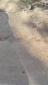 الخويلدية • ٣١٣م • تبليط كدامه وراه