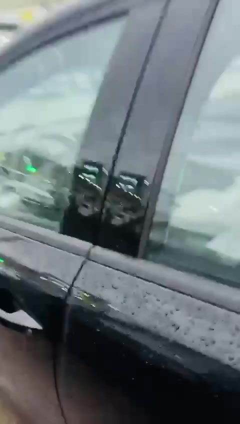 وصل  الكاعيه الحوضي واضح بلفيديو و نوعيه و كولتي عالي والسمك 3 مليم لا يطلع ريحه و لا يتعقج القالب و ضمان 
سعر مع توصيل 75 الف رقم وتساب ***********
