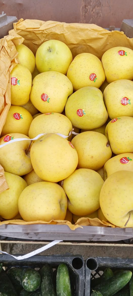 رمضان كريم 
مسواك اليوم 
طماطة 750
خيار 750
بطاطة 500
بصل 500
لهانه 500
شجر 1250
اسود 1250
فاصوليه 2000
باجله 2000
فليفلة 1250
قرنبيط 1250
موز 1250
برتقال 1500
تفاح 1250
يوسفي 1000
***********
