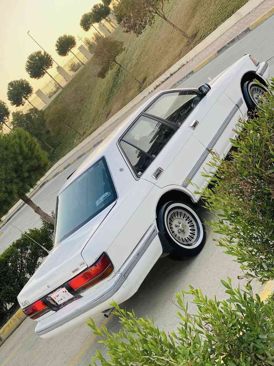 بـــــۆفــــــرۆشــــــن
شـــتـــی و نمونە  دانسقه
كراون ســـــیدان 
بيلاد ئتؤماتيك 
صـــــاڵــــۆن 🏆
سعرى / ٢٦ وەرەقەو معامه له
ئارم پلاستيكي سليماني 
هه موو گيانى له سه رشه ريكه ماوه به س ماشاءالله ئه ويت
مــــــــۆدێـــــــل/90 
أبو تاج 🏆
گێڕو مەكينه و ئاكسلى لؤكه
ده مارى وه ك بيلادى ماوه
 ناو / شين 
ئتؤماتيك بيلاد 
قفل مه ركه رى
گێڕو مەکینەی مەزبوت لۆک
کارەبای کامل مەزبوت
٤ جام کارەبا
تاقم تایەو خه ت سپي لؤك 
ناوی نمونه هه يكةلي جوان 
هەیکەلی دەرەجە یەک 
پێشودوای تازە داگیراوە 
يه ك ته قه و ٢ گه لا ببره
بەشەرتی تەقەو رەقە
هەمو گیانی لەسەر شەریکە ماوەتەوە
دەعامی بۆ دەعامی٢٥٠ مه سره في نيه 
تكايه ته نها فرؤشتنه ..

☎️☎️
***********
***********
