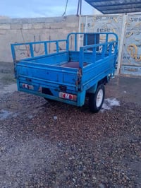 ستوته 2010 • نجف • بدون راعي