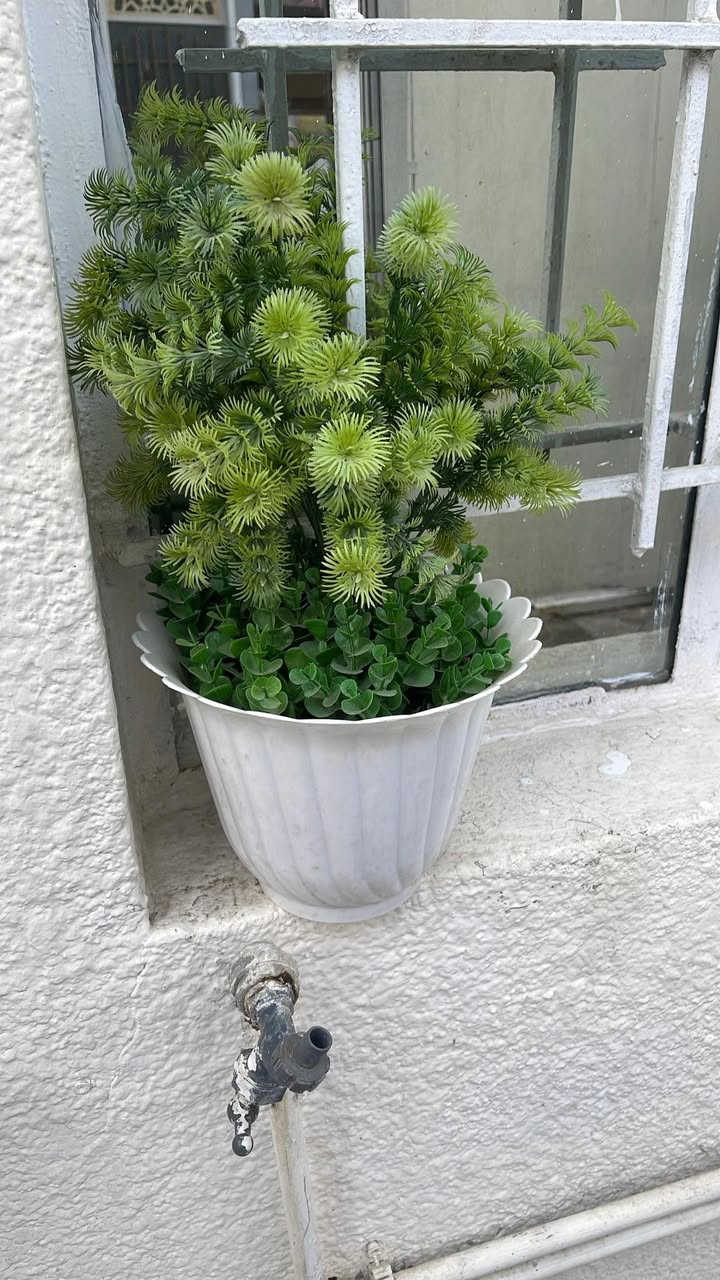 بنكات جديدات عدد 3
سبلت ماركه جنرل استعماله شهر واحد سعره ٤٥٠ صليخ ال400
مكنسة غسل زوالي جديده العنوان الشعب 
الزرع الوحده ب٥  إذا ٣ ب١٥  صليخ ال400
والاسعار بيهن مجال التواصل ع هذا الرقم ***********
