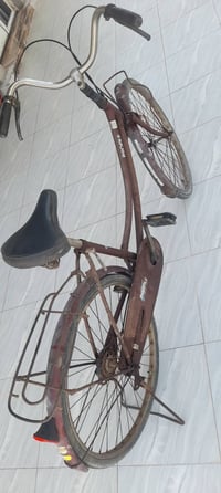 باسكل • حجم 24 • بدون نقص