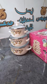 سيت قدور مينا • نقش ورد • ١٢/١٤/١٦سم