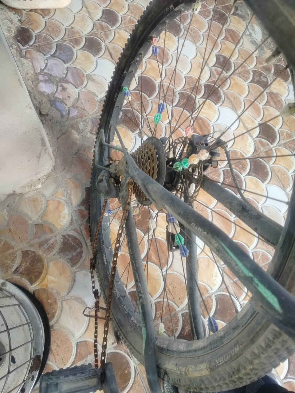 سلام عليكم ورحمه الله وبركاته باسكل للبيع بيه عطل بس الكير مالته سعره30 الف مكان  ديالى بعقوبة الراحمه شارع صحفيه قرب محلات ابو رافد للتواصل والاستفسار الاتصال بالرقم ***********
