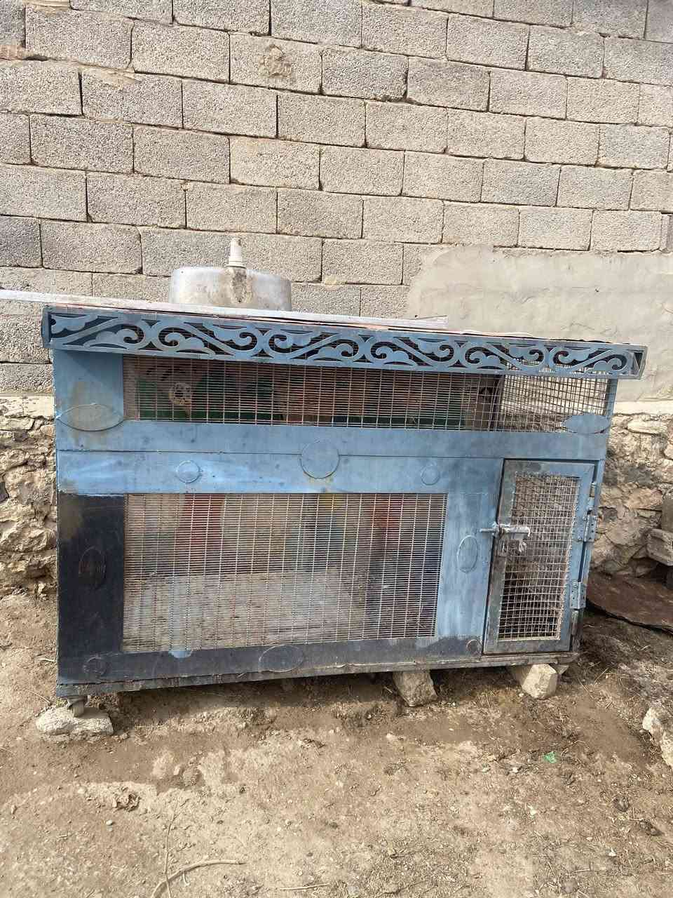 السلام عليكم
يوجد قفص حديد للبيع نظيف حيلل السعر ١٣٠ الف وبي مجال ‭٠٧٧٢ ٧٨٦ ٩٠٦٥‬
