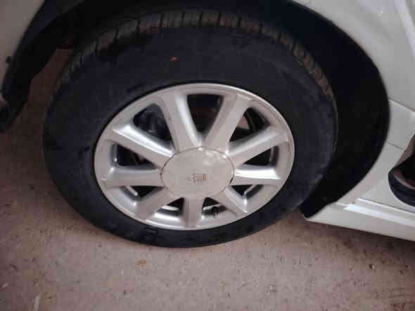 تخم ويل نجمه ابيض للبيع لا مجلي ولا مصبوغ تخم تاير انتاج ٢٥ السعر ٣٧٥
***********
