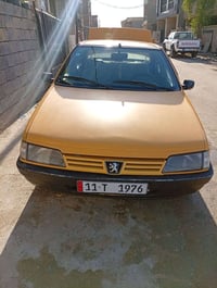 بيجو روا • ٢٠٠٨ • الدورة