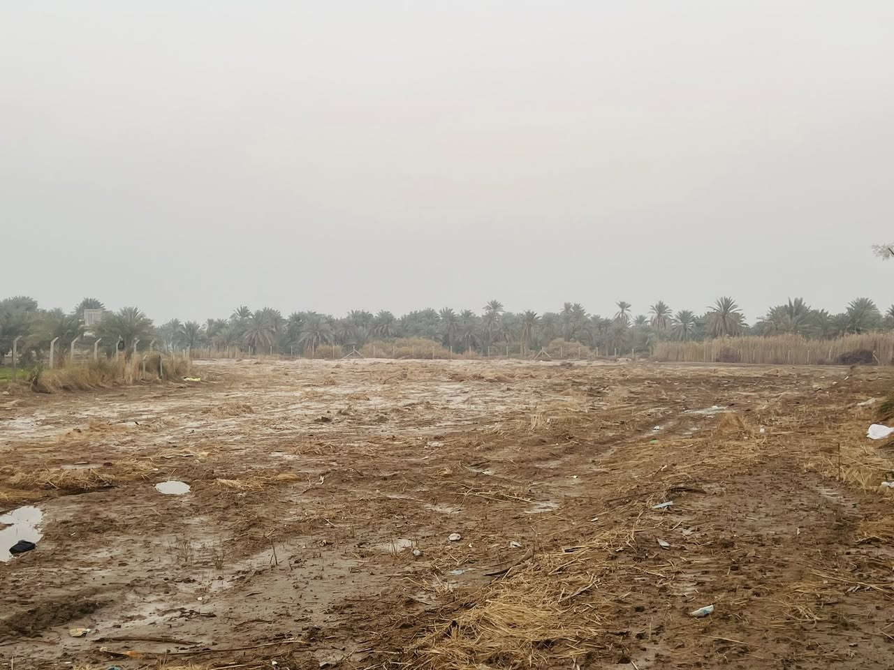 قطعة ارض زراعيةع شارع التبليط للبيع المساحة أربعة دونم و١٠٠٠ متر الموقع المراشدة قرب المدرسة موقع مميز تصلح  للزراعة او  اسطبل للخيول اوملاعب شعبية للتواصل 
***********
