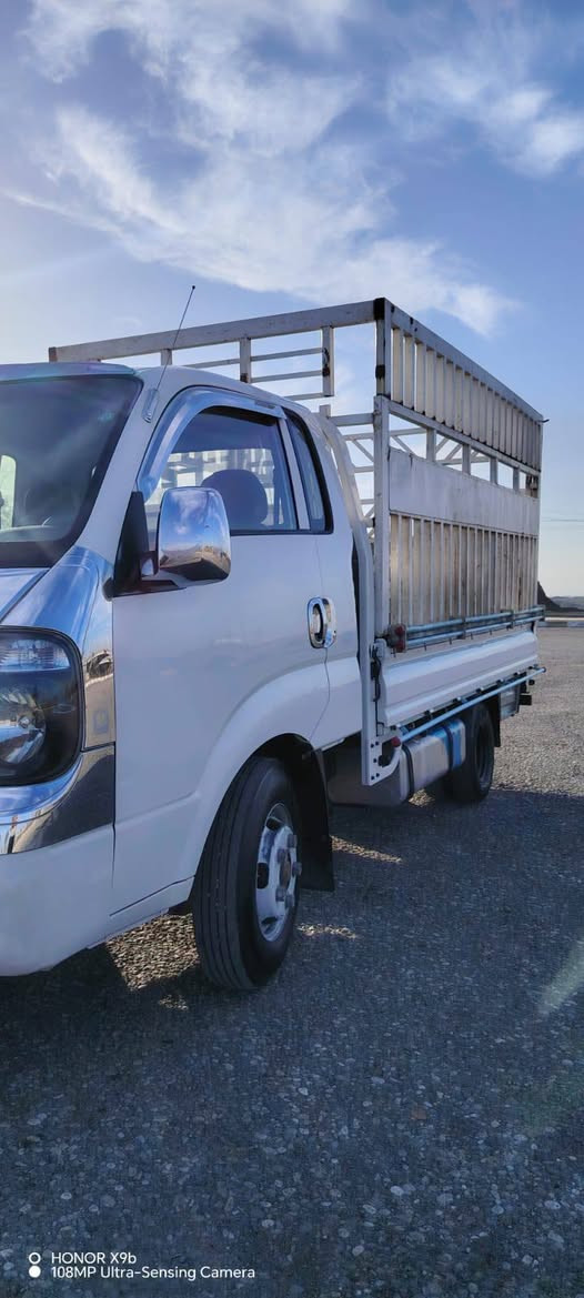 كيا حمل 4000 موديل 2016 بدون ضرر كير محرك اكسل شاصي شرط سنوية صاقط تايرات جديد سعر 150
***********
*********** كركوك, العراق
