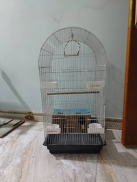 قفص للبيع يرهم غندور او كوكتيل كلش جديد كامل مع ملحقاته #لسعر30 078154...