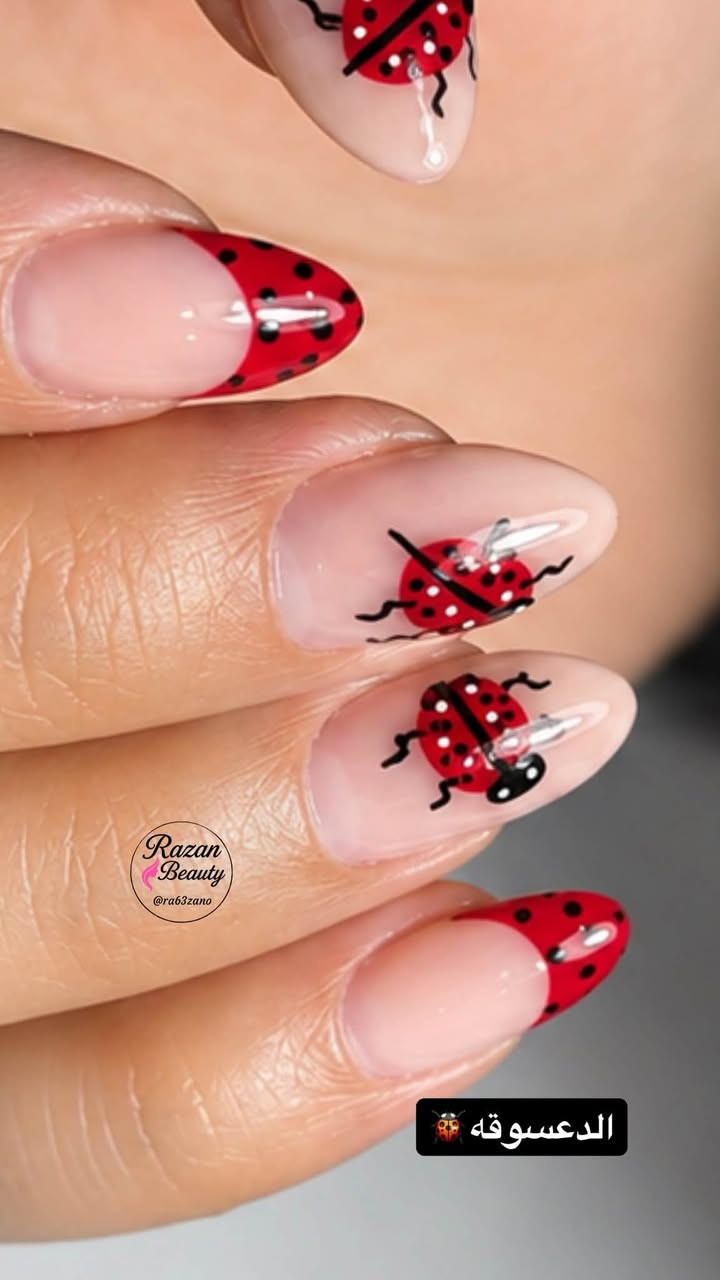 دعسوقه 🐞🐞
عروضنا مستمره ب18 الف فقط 
بناء جل اكستيشن مع جلش مع دزاين وحسب طلبج ورغبتج 
البياع ش12 تقاطع الحمام خلف مكتبه ميم ***********
