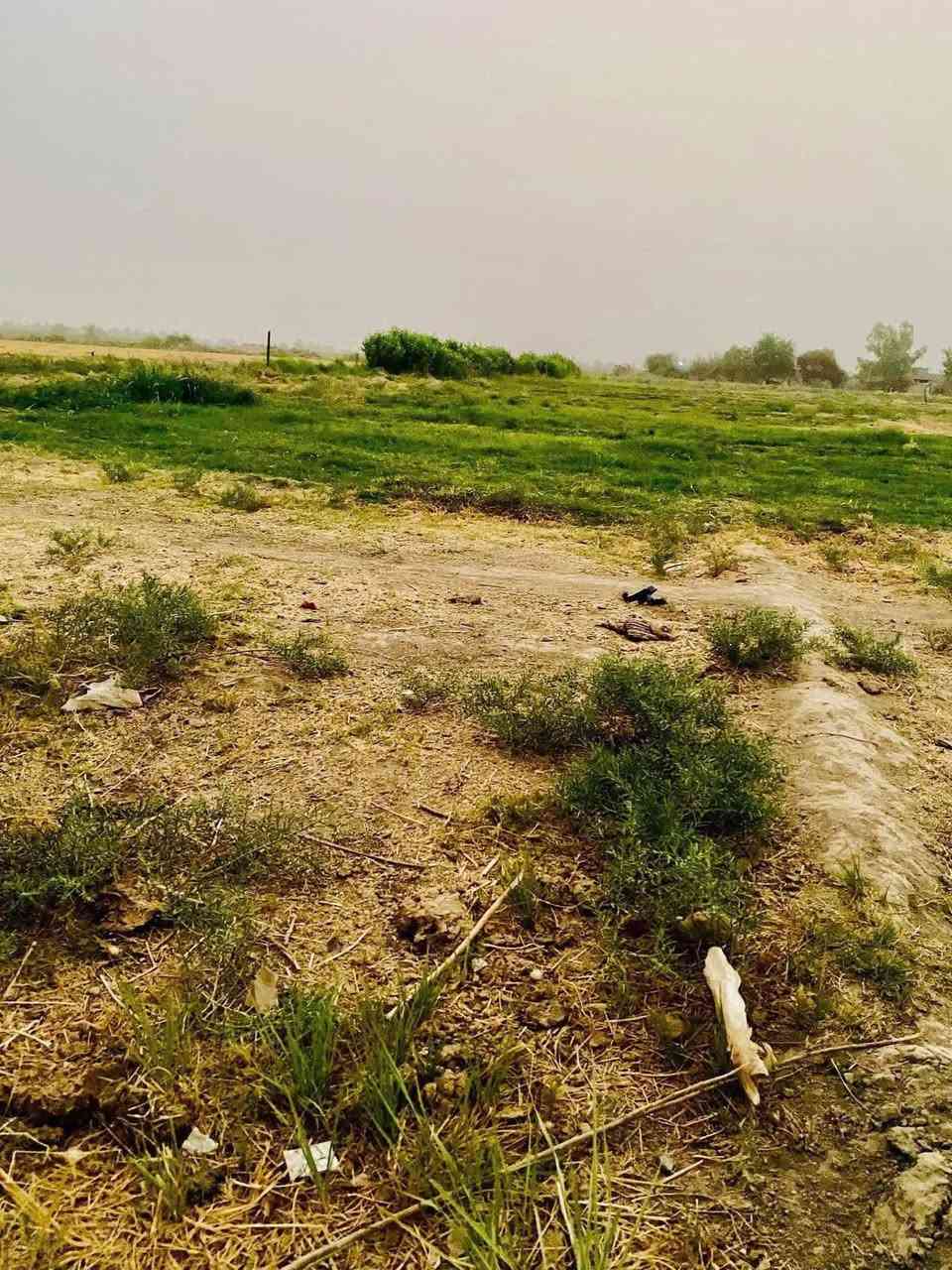 السلام عليكم 6 دونم طابو زراعي للبيع حاوي العلم صلاح الدين مكان قريب عل دبسه وقريب عل علم اي بل نص فرعيات وعدلات بيهن بير وكهرباء السعر 35 وبيهن مجال شي بسيط جدآ يرهمن سكن ويرهمن مزارع الشراي يتصل ***********
