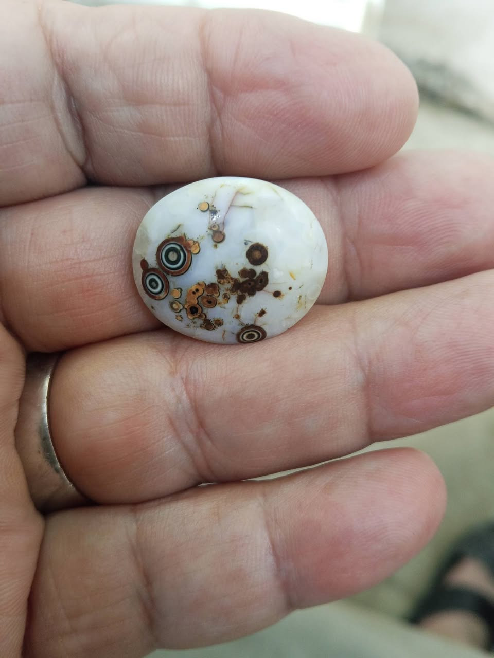 فص للبيع داودي 25 الف للمهتم


**إذا كنت صاحب هذا الإعلان وتريد حذفه لأي سبب، رجاءا أرسل رسالة إلى الدعم الفني**