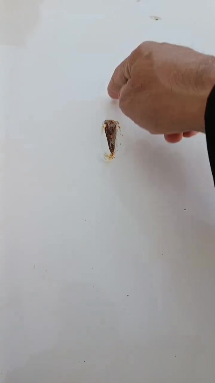 سنتافي موديل 12 خليجي رقم نجف دولي محرك 4 سلندر دوش بيها تبديل قبق جنطه وبارد بل بنيد فتحه سقف تحكم ستيرن مري شفط اشاير بلمري ***********و *********** سعرها 130
