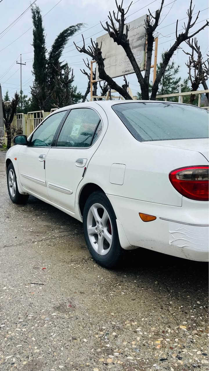 نيسان مةگزيما موديل٢٠٠٢ شتي لوك و نمونه
گيرو مةكينه لوك لوك گيرعادي
سةنةوي نوية تا٢٠٣٠ 
ماشاءلله سةيارةكة لوكة بي بوياغ و شوخت و چال
دارو بةردي بةشةرته لةهيچ شتيكي مةپرسة
چوار تا و ويلي بيلاد لوك
سعري88 
*********** بشدار, السليمانية
