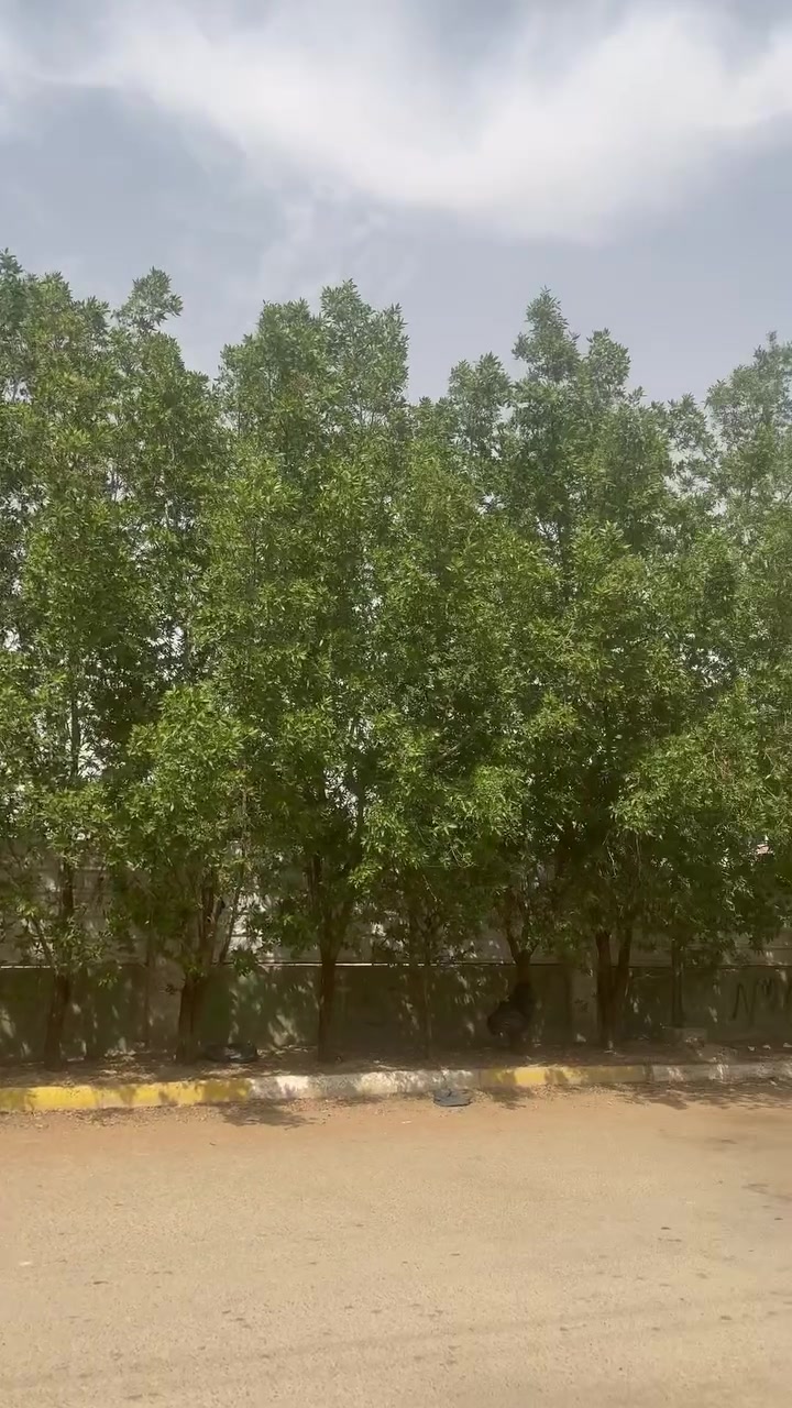 دار للبيع ركن بدور العمال  
المساحة ١٢٠ م نزال ٢٠ م جبه ٦ م
يكون ع شارعين ومباشرتاً ع شارع العام مثل ماموضح بالفيديو

للاستفسار الاتصال ع الرقم ‭٠٧٧٠ ٤٢٩ ٤٦١٢‬

او علق بالسعر يجيك ع الخاص
