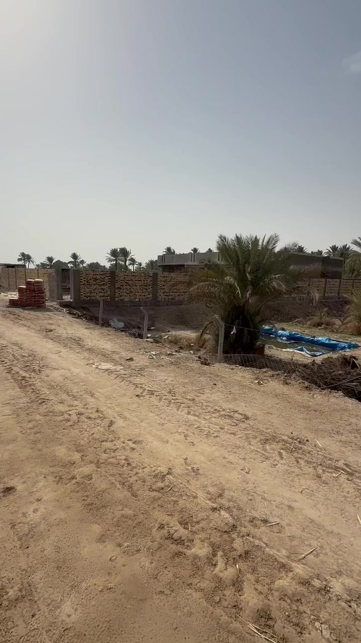 السلام عليكم للبيع ارض زراعيه ملك صرف تاجيه ع روائي مباشر  مقابيل مقاطعه 12 طابو صرف مساحه 2500 متر واجهيه 51 نزال 49 تحويل مباشر لاستفسار ***********
