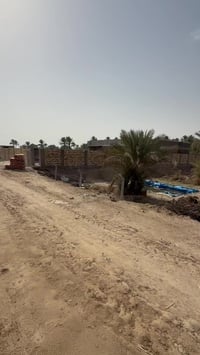 للبيع ارض زراعيه ملك صرف تاجيه ع روائي مباشر  مقابيل مقاطعه 12 طابو صر...