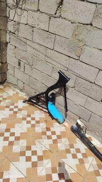 ارشه • شاصي • ٢٠١٣