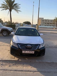 ٢٠١٠ • فول عدا الفتحه • رقم اربيل