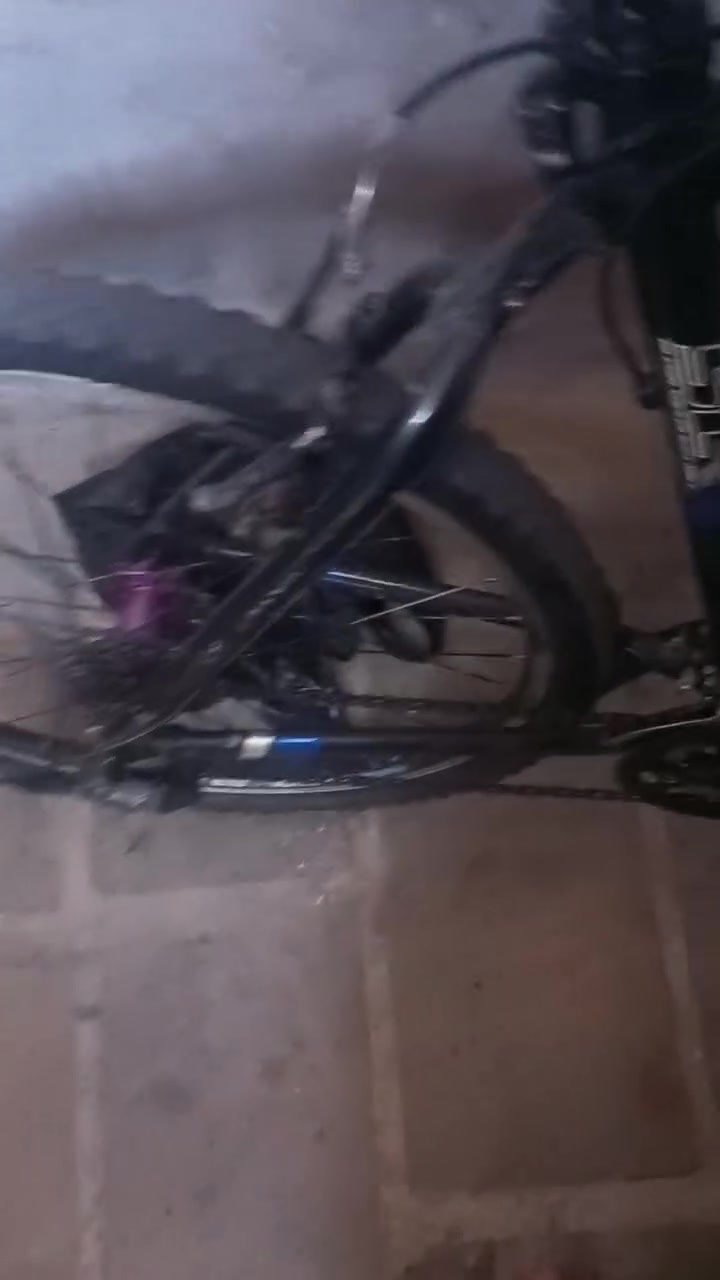 بايسكل TREK 6500 امريكي السيستم شيمانو بل كامل السعر ١٥٠ الف دينار


**إذا كنت صاحب هذا الإعلان وتريد حذفه لأي سبب، رجاءا أرسل رسالة إلى الدعم الفني**