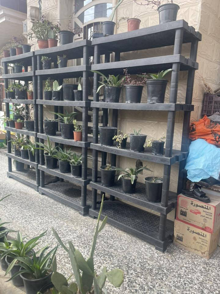 السلام عليكم 
ارفوف استخدام قليل 
العدد 5 
الرتفاع 1متر و185س
العرض 90
للاستفسار اكثر الاتصال على الرقم 
***********
