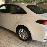 كورلا خليجي • ٢٠٢٥ • رقم اربيل