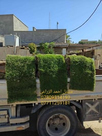 ثيل • مشتل احمد • الانبار حديثه