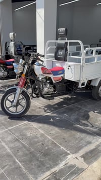 ستوتات • منفيست • ترقيم مباشر