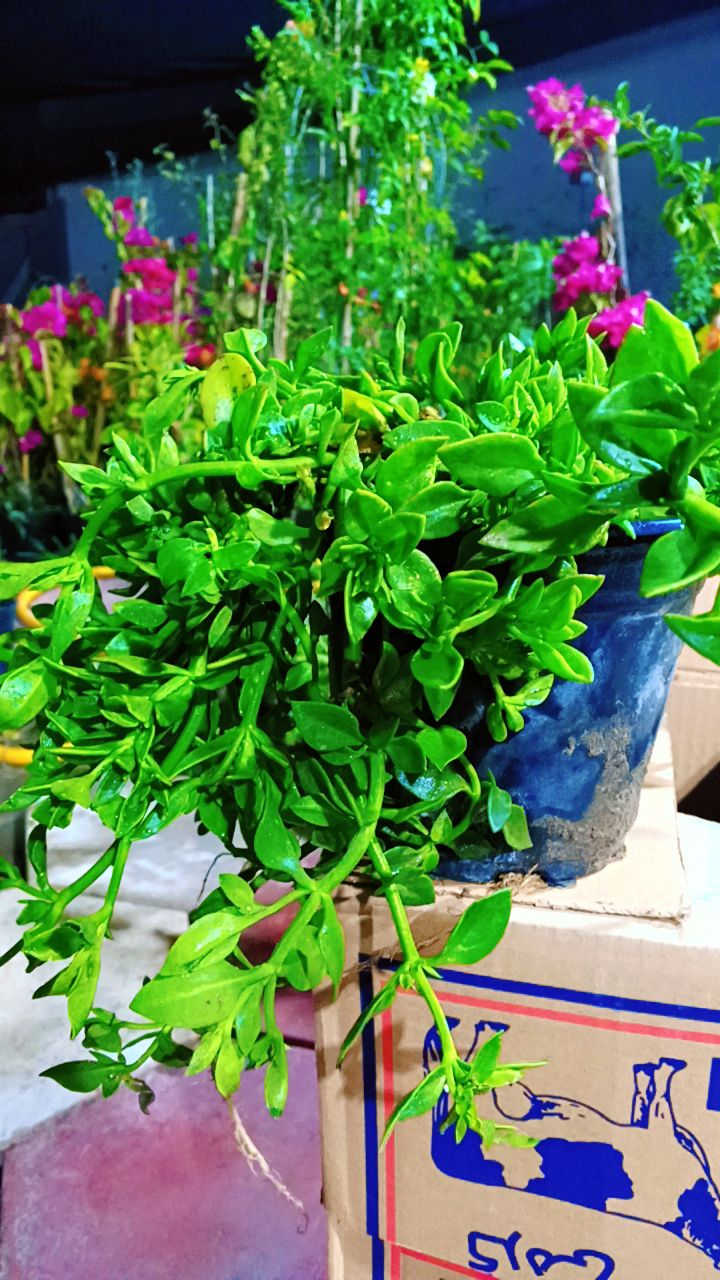 عنوانه كوفه شارع عبد العال خلف مديريه ماء
الكوفه مجاور مصلح الثلاجات يوجد توصيل كوفه ونجف فقط ***********
