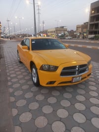 جانجر ٢٠١٢ • نينوى • بدون ضرر