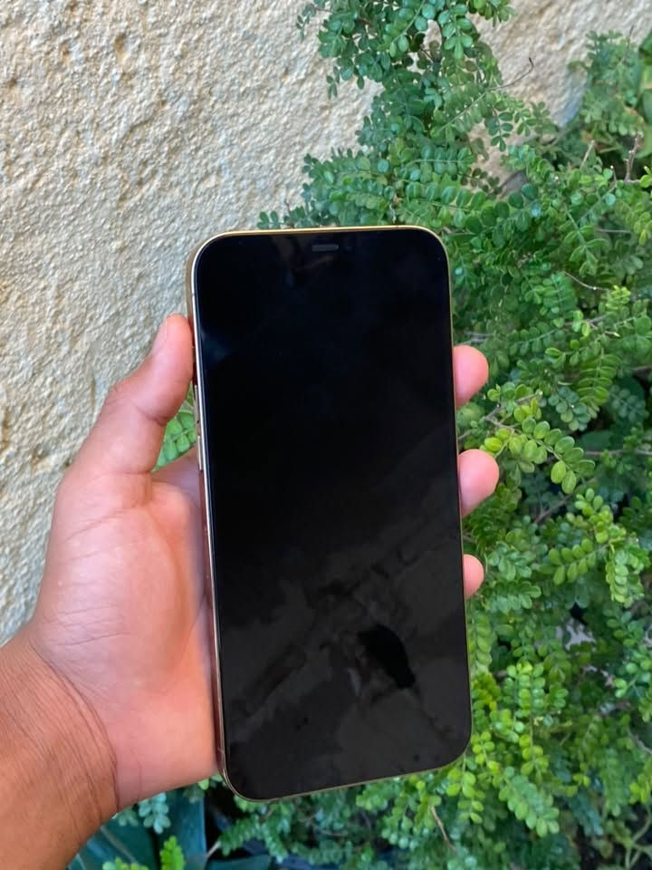 ايفون ١٢برو ماكس
لون ذهبي 
ذاكره٢٥٦
جهاز بطاريه ٩٨بلادييي
شاشه مبدله نوعيه حلوه
فيس ايدي شغال
سعر٣٧٥وبي مجال
عنواني نجف حي الوفاء قرب مدرسة دارك
رقمي ***********
