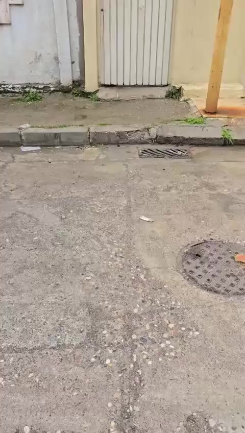 للايجار🏢🏢🏢للايجار                                                           شقة طابق ثاني   درجة أولى                                                                    الموقع ...حي السكر ....مقابل مستشفى الخنساء ثاني بيت عن الشارع العام                                تحتوي ثلاثة غرف  ...هول ...مطبخ....صحيات                                                                                      لمزيد من التفاصيل زورو مكتب التسهيل العقاري                            حي الصديق ...سايدين الصديق الرئيسية                                      ☎️☎️***********                                                           ☎️☎️***********                                                           ☎️☎️***********
