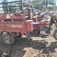 طرطوره ام الطير فحل للبيع2018 مكمراك سعر ١٢٥٠ رقم ٠٧٨١٦٨١٦٦٢٥