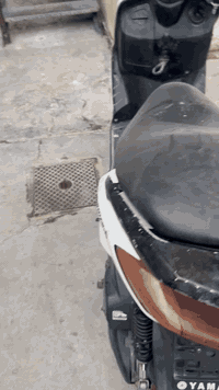 السلام عليكم سكنس نثيه للبيع السعر ٣٢٥ وبيها مجال تفاصيلها بلفديو 
للأستفسار***********
