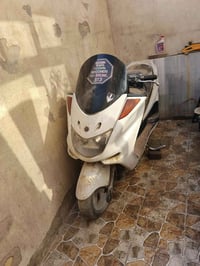 ماجستة • دبل رون • طافية