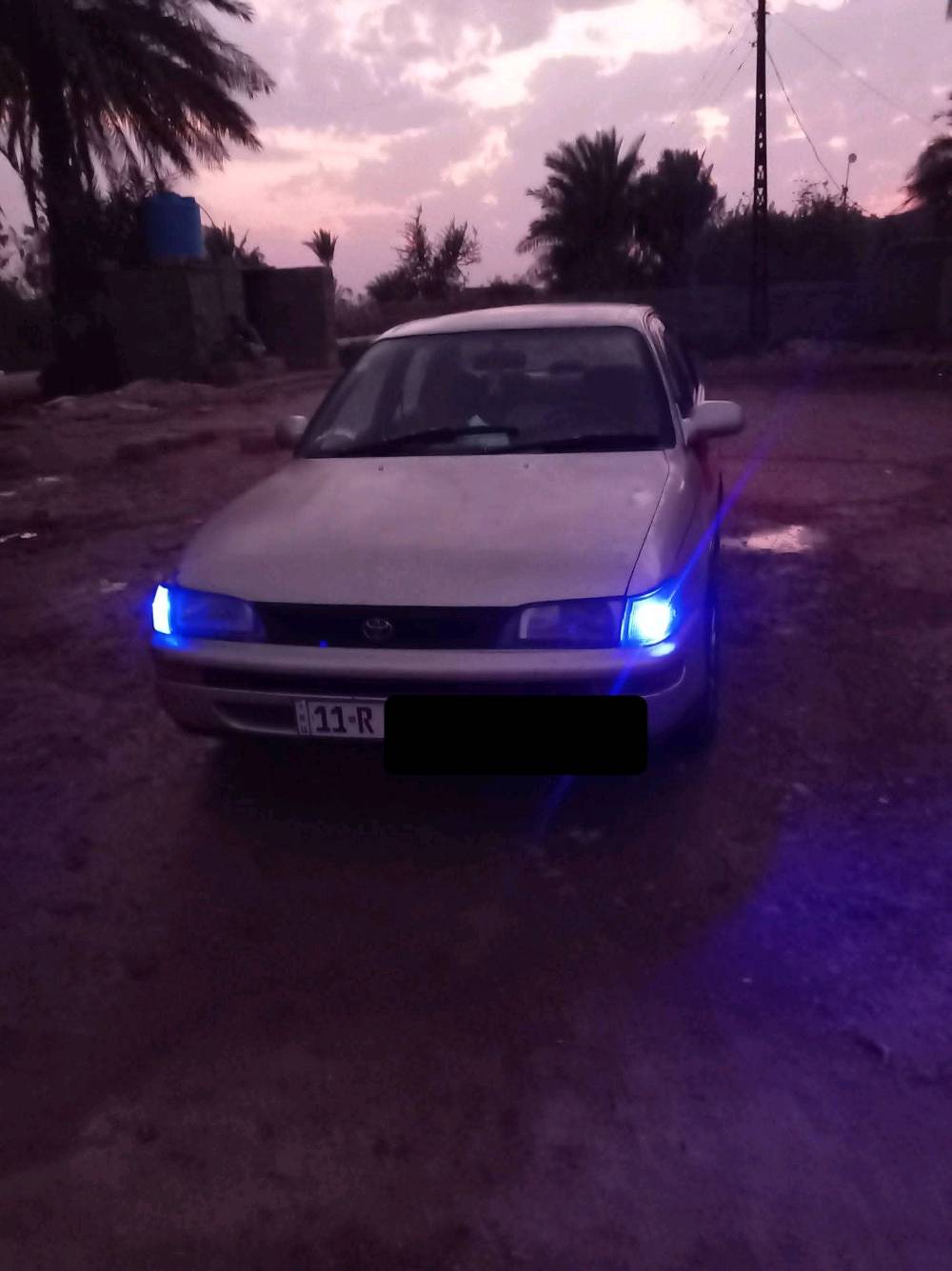 العنوان واسط الزبيديه  