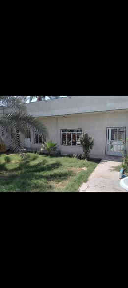 بيت لبيع طابو ملك صرف مساحته لبيت 500 متر لبيت يحتوي على 4 غرف نوم ومطبخ وهول وحمام  داخلي وستغبال خارجي وصحيات خارجيه لعنوان لجعاره يم لغابات مغابيل لمطاعم مغابيل مطعم حجي زوين ومطعم كرم المداءن يبعد عن لشارع لعام 100 لسعر 400 وبي مجال هاذ رقمي بي واتساب ***********
