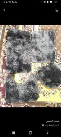 سجاد • مجموعة • عرض